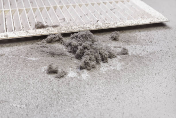 Best Professional Duct Cleaning Services  in Gloster, MS