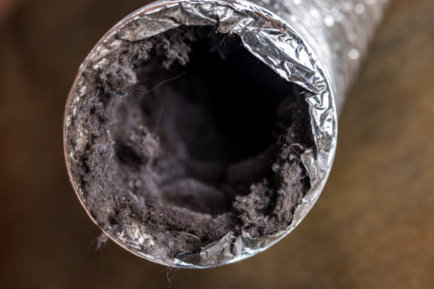 Best Local Air Duct Cleaning Services  in Gloster, MS